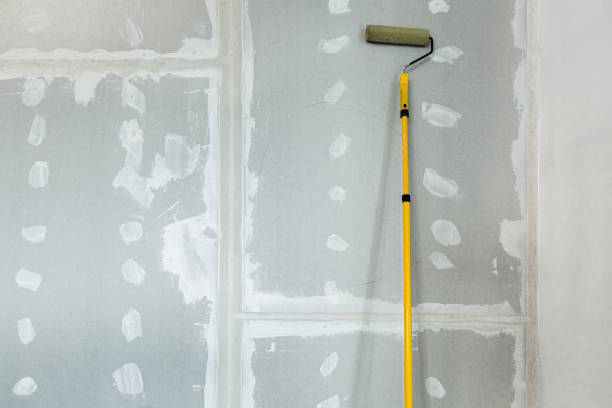 Best Black Mold Removal  in Herington, KS