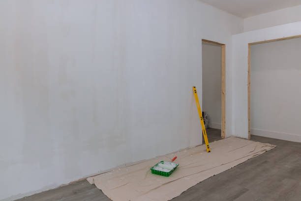 Best Attic Mold Removal  in Herington, KS