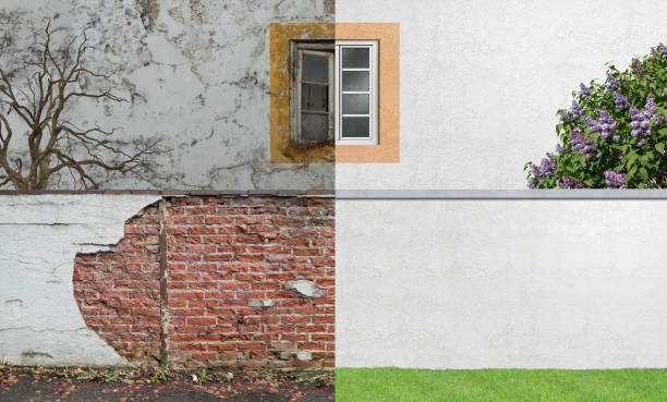 Best Emergency Mold Remediation  in Herington, KS
