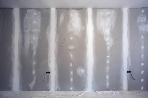 Best Post-Construction Mold Inspection  in Herington, KS
